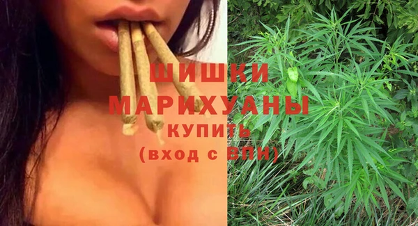 тгк Гусь-Хрустальный