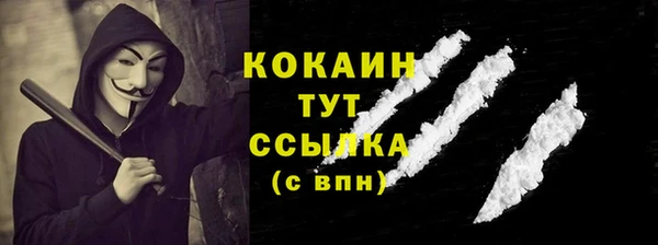 тгк Гусь-Хрустальный
