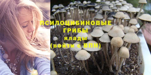 mdpv Гусев