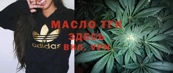 тгк Гусь-Хрустальный