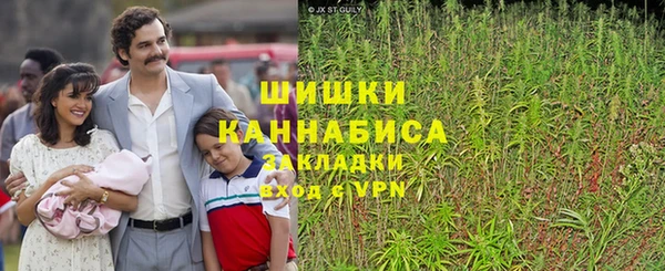 mdpv Гусев