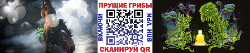 Псилоцибиновые грибы мухоморы  Купить  Амурск 